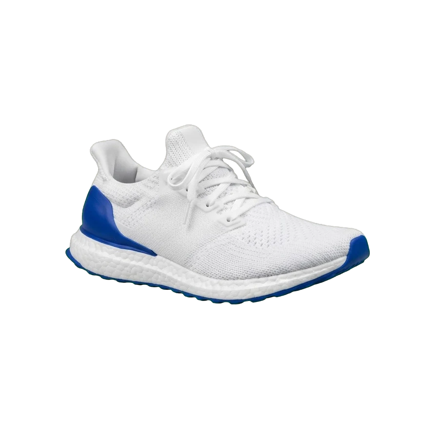 The same sneaker with the background removed
